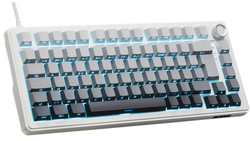 The G-Lab Keyz Elite 300 HE GRW - Clavier Gamer Magnétique 75% AZERTY FR | Switch Magnétique Hall Effect, Format 75%, 8000 Hz Polling Rate, Rapid Trigger, Activation Réglable 0,01 mm, RGB
