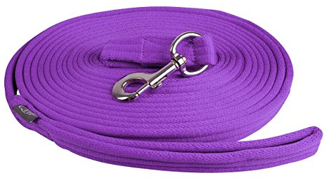 QHP Longierleine Longe – Extra weicher Komfort – 8 m mit praktischer Tasche und großer Schlaufe