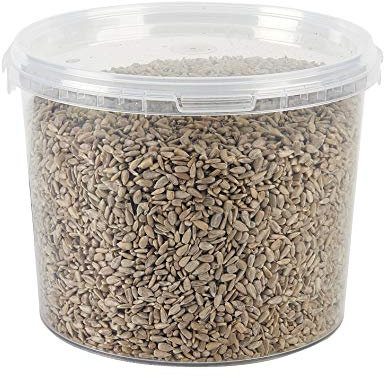 Garden Ting Premium Sunflower Hearts Kernels, Wild Bird Food Tub, 3 Litre