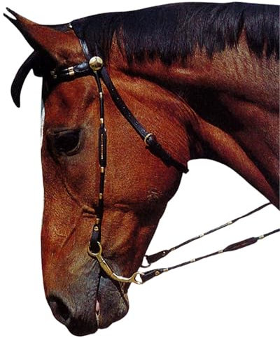 Amesbichler Reitsport Norton Westernzaum mit Messingdeko und Zügel