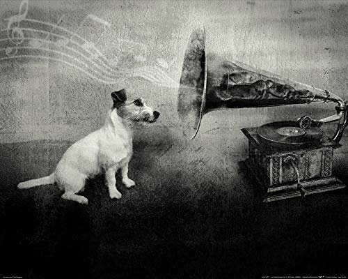 1art1 Hunde Poster His Master's Voice, Jack Russell Terrier Kunstdruck Bild 50x40 cm