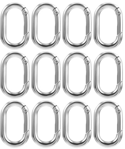 WOLMIK 12 Stück Kleine Carabiner, O-Ring-Kleine Karabinerhaken Karabiner Geeignet für Camping, Auto-Schlüsselanhänger-Haken und Geldbörsen-Schlüsselanhänger-Ersatzteile