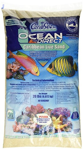 Carib Sea Ocean Direct ACS000920 - Sabbia Naturale Viva per Acquario, 9,1 kg