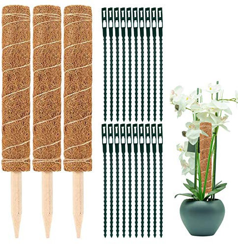 Elinala Pflanzstab Kokos, Moosstab, 3 STÜCKE (30 cm) Garden Coir Moss Stick Coir Moss Totempfahl, Plant Climbing Support Totem mit 20PCS Plant Cable Tie