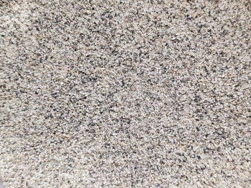 Forest Aquatics Decorative Aquarium Sahara Sand (1kg)