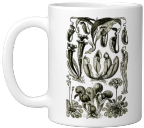 Carnivorous Plants Vintage Sarracenia Botanical Ceramic Mug, White