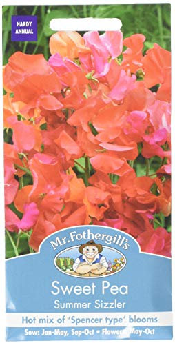 Mr Fothergill's 13984 Flower Seeds, Sweet Pea Summer Sizzler