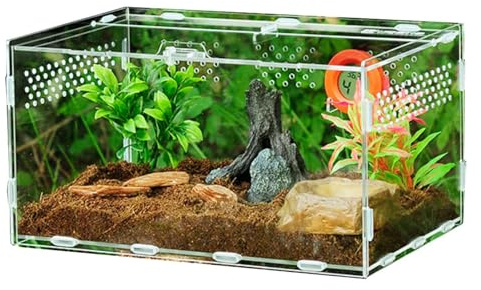 Transparente Acryl Reptilien-Zuchtbox und Fütterungsbox - Transportbehälter für Amphibien, Lebensräume für Eidechsen, Hornfrösche, Spinnen