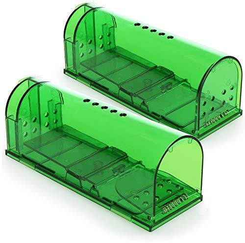 COM-FOUR® 2x Trappola per catturare topi vivi - trappola per topi amica degli animali - per roditori facile da usare e non tossica con prese d'aria (2 Stück - Lebendfalle grün)