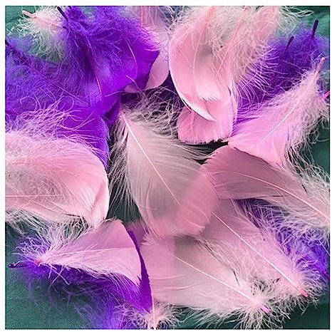 Yurosiay 100 Stück Bunt Federn Natürliche Federn Handwerk Gänsefeder Bunt Federn Deko Federn zum Basteln Flaumfedern Bastelfedern Deko für DIY Ohrring Kopfschmuck Traumfänger 6-12cm Rosa+Lila