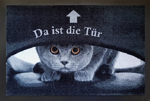 Trendstern Fußmatte Tiere Eulen Katzen Hunde Blumen für Innen und Außen Home 40x60 cm wetterfest rutschfest waschbar (Katze Tür)