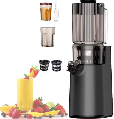 Spdazzleburst 250w cold Press Slow Juicer, Juicer Machines, Cold Press Masticating Juicer, With Triple Filter, Portable Pomace Separation Juicer, for Fruits Vegetables,Grey
