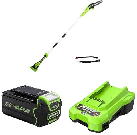 Greenworks 40v Akku Hochentaster, 20 cm Blattlänge, automatisches Öl-System, 80 ml Öltank, 2.58m Stangenreichweite + schnell aufladbarer 5Ah Akku,3-stufige LED Batterieanzeige+ 2A Akku Ladegerät