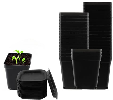 ZEONHEI 30 stycken odlingskrukor, kvadratiska, 7 x 7 cm, odlingskrukor, plast med underlägg, svart, planteringskrukor, fyrkantig, plast, fyrkantig kruka, fyrkantiga blomkrukor för suckulenter