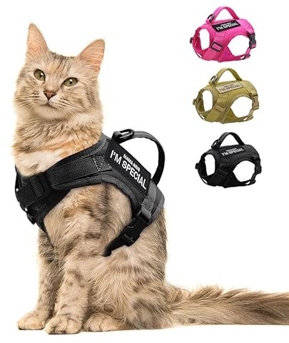 Forestpaw Katzengeschirr, ausbruchsicher, verstellbar, mit weichem Netz-Polsterung, taktisches Katzengeschirr mit Kontrollgriff, Molle-Patches, Schwarz