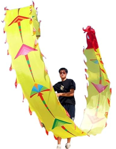 CHENHOJU Kite-shaped 3D dragon ribbon streamerWith a dragon head A gift for square entertainment, peace, and good luck. Juggling Sets(8m/26ft)