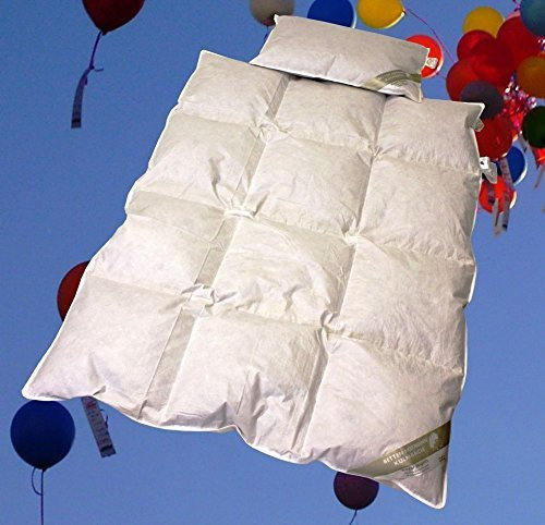 Betten Hofmann Baby Kinder Daunenbett Ganzjahresdecke Daunendecke Set 100x135 cm mit Kopfkissen 40x60 cm, Naturprodukt, leicht und warm, waschbar
