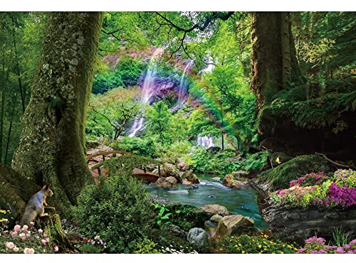 Laeacco 7x5ft Nature Scenery Backdrop, Sturdy Tree Trunk Stone Mountain Streams Creeks Photography Background Forest Rainbow Backdrop for Theme Party Decoration Kids Adult Photo Shoot Studio Prop