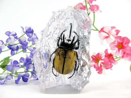 In Kunstharz gegossene Schmetterlinge, Insekten, Skorpione und mehr. Briefbeschwerer, Icemountain, nicht scharfkantig (Käfer riesig)