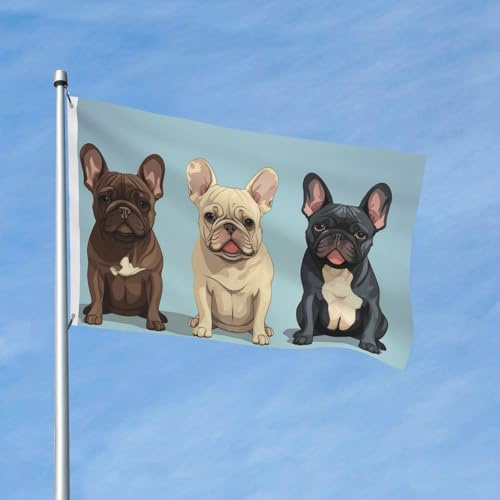 Bandiera 90 x 150 cm, decorazione da giardino, resistente, bulldog francese, bandiera carina per esterni, con 2 occhielli, bandiere di benvenuto per vacanze tutte le stagioni