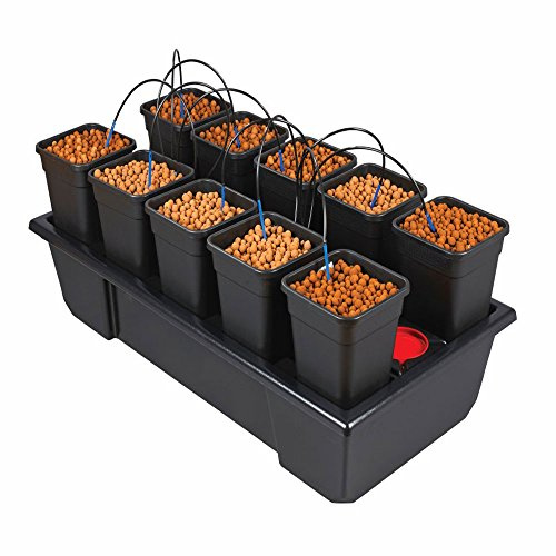 Wilma Small Wide 10 x 6 Litre Pot Hydroponic Dripper System + Black Orchid Pro Timer