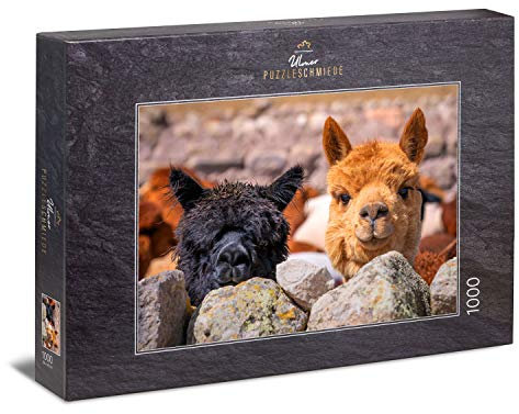 Ulmer Puzzleschmiede - Puzzle „Alpaka“ - Klassisches 1000 Teile Tier-Puzzle – Puzzlemotiv aus Südamerika mit freilebenden Alpakas in den Anden, frech versteckt hinter der Stein-Mauer
