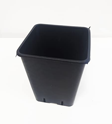 VASI QUADRI VIVAIO E RELATIVI SOTTOVASI 10PZ. VARIE MISURE IDEALE PER COLTURE OUTDOOR E INDOOR (15X15X20 CM. (3,6 LT.))