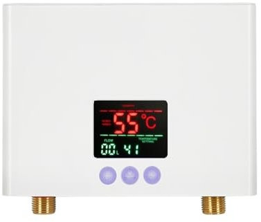 Chauffe-eau électrique, chauffe-eau instantané, Chauffe-eau Électrique Instantané 3000W/5500W, Mini Conversion De Fréquence Intelligente, Température Constante pour cuisine salle de bain(blanc,220 300