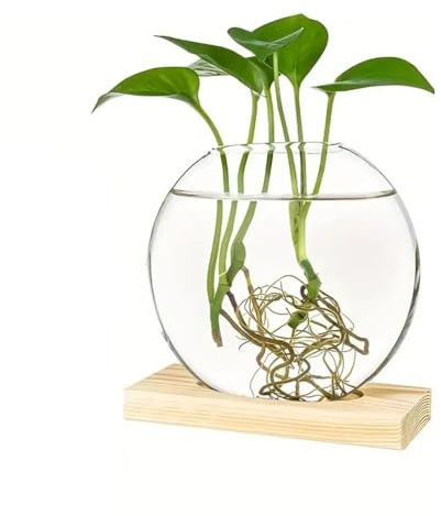 Fioriere Rotonde in Vetro con Supporto in Legno - Contenitore per Piante Idroponiche, Elegante Vaso Naturale