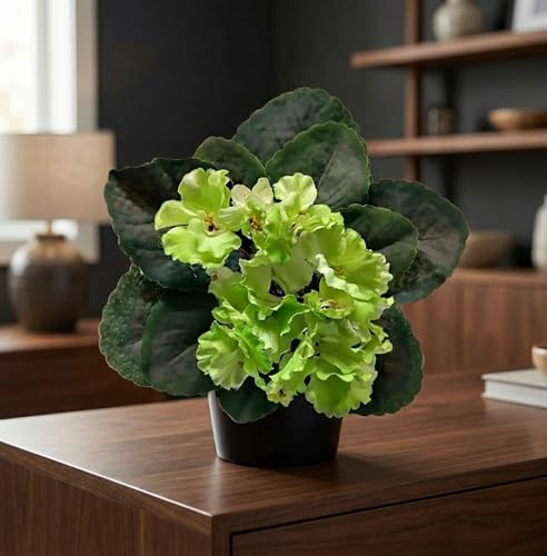 8 Green Artificial African Violet Plant – Faux Potted Mini Fake Flower for Home Décor, Office Desk Decoration, Indoor Table & Shelf Decorative
