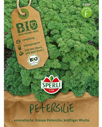 Petersilie - Bio-Petersilie, kraus Mosskrause 2 / Grandeur - Bio-Saatgut von Sperli-Samen