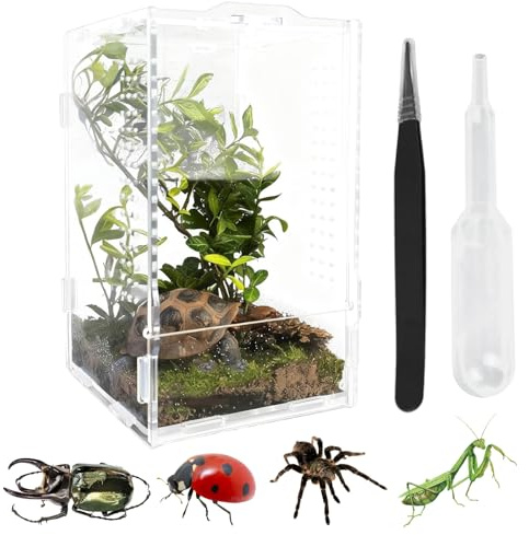 Acryl Terrarium 12x11x20 cm Spinnen Faunarium Vivarium Nutzbar | DiiWmme Mini Terrarium mit Belüftung Deckelöffnung Klarem Sichtfenster für Vogelspinnen Fangschrecken Geckos Kornnatter