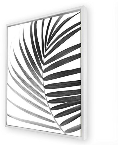 Bildershop-24 Schattenfugenrahmen Set Hamburg Weiß (matt) mit Keilrahmen Leinwand Bild Druck Motiv: Palmenblatt 2 70x100cm