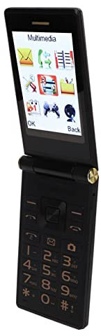 Plum Flipper 4G LTE Unlocked Flip Phone - Large Screen, Wear Resistant Shaft, Prominent Buttons, One Touch Dial, Clear Sound Quality, Photographic Camera (Tarnish)