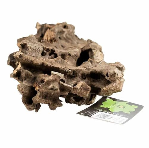 Biotope Aquatics Ltd - Aquarium Natural Honeycomb Wood - Multiple Sizes - Fish or Shrimp Tank Decoration - Holey Cholla Wood Root (15-25cm Piece (Medium))