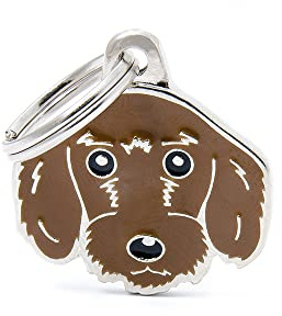 Min familj - Namnbricka för hund och katt - Vänner kollektion - Bas, 27X27 mm, Metall, Ingen ädelsten