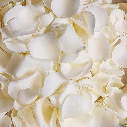 Koceko 180Pcs Dried Real White Rose Petals, Freeze Preserved Flower Petals 1.75oz for Gifts Wedding Party Decor, Dinner Table Centerpieces, Bridal Shower,Confetti