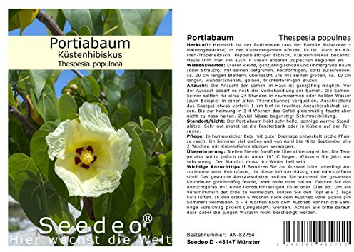 Seedeo® Portiabaum (Thespesia populnea) 20 Samen