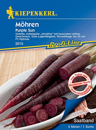 Kiepenkerl 3015 Möhre Purple Sun F1 (Saatband), violette Möhre intensiv durchgefärbt, für Rohkostsalate oder Suppen