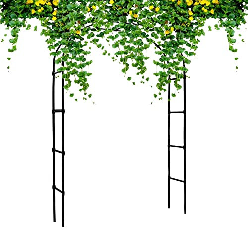 AEMIN Rosenbogen Für Verschiedene Kletterpflanzen,240 X 120 X 30cm, Metall Gartenbogen Gartenlaube Für Gartenlaube Rosenpavillon, Langlebig, Schwer,Schwarz (Size : 1.8x2.4x0.3m)