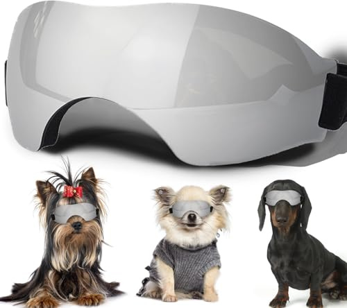 Sonnenbrille für kleine Hunde, mit verstellbarem Riemen, UV-Schutz, Winddicht, geeignet für kleine Hunde, Haustierbrillen, Augenschutz
