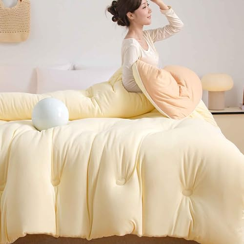 MTHGH Trapunta Invernale in Fibra di Soia, Piumone Invernale Spesso, Coperta Molto Calda E Super Morbida per 2 Persone, Trapunta in Microfibra, Piumone Trapuntato Reversibile(B,220 * 240cm/5.25kg)