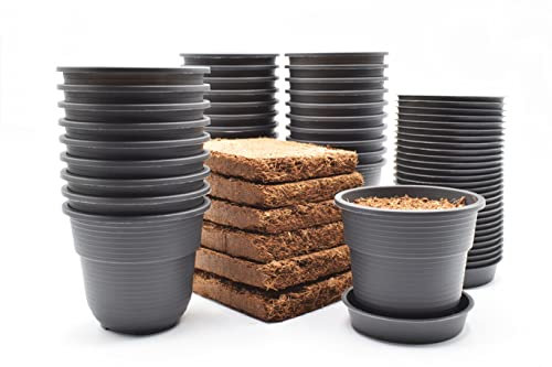 Plastard 30 Stück Anzuchttöpfe mit Kokoserde Pflanztopf Ø 8 cm Durchmesser mit Untersetzer aus robusten Kunststoff und witterungsbeständigen Material, runde Saattöpfe
