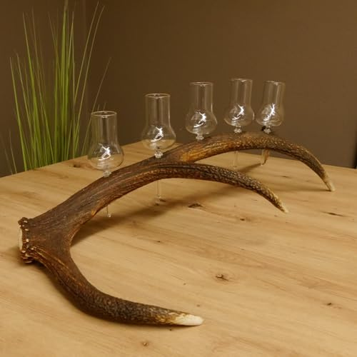 GTK - Geweihe & Trophäen KRUMHOLZ 27.60.2.37 Lot de 6 grands verres à piquer avec pied sur tige de cerf