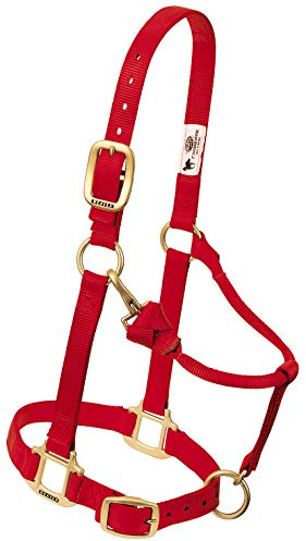 Vävare läder nylon justerbar drag hästgrimma 2,54 cm, genomsnitt, röd