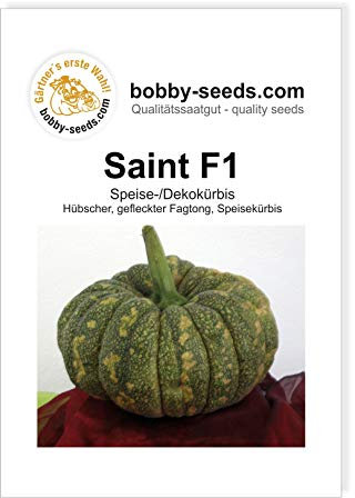 Saint F1 Kürbissamen von Bobby-Seeds Portion