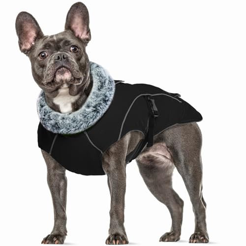 Hundejacke Winter, Winterweste Hund Hundepullover Winter Weste Hundemantel Warm Hundemantel Reflektierend Hunter Hundemantel Hundepulli(Schwarz, M)