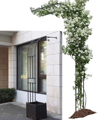 Rosenbogen Metall halbbogen rankhilfe für kletterrosen schwarz gartenbogen für kletterpflanzen wandmontage witterungsbeständig(Black,60cm)