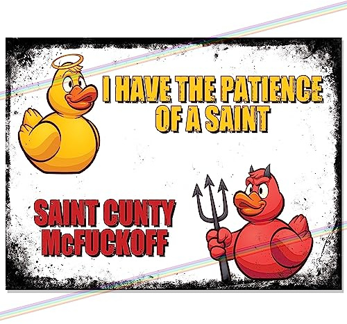 Patience Of A Saint Funny Metal Bar Sign Accessories for Home Pub or Outdoor Garden Wall Plaque Man Cave Gift Memorabilia Retro Vintage 20cm x 15cm