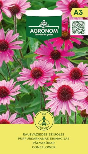 AGRONOM |Echinacea purpurea - Semi | Semi di fiori |Pianta perenne, alta 70-80 cm | Facile da curare, decorativa e profumata | Semi di piante | Semi da giardino | 1 confezione